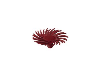 1/2 inch Dedeco Sunburst TC snap-on radial bristle disc 220 grit aluminium oxide red for blending and surface prep